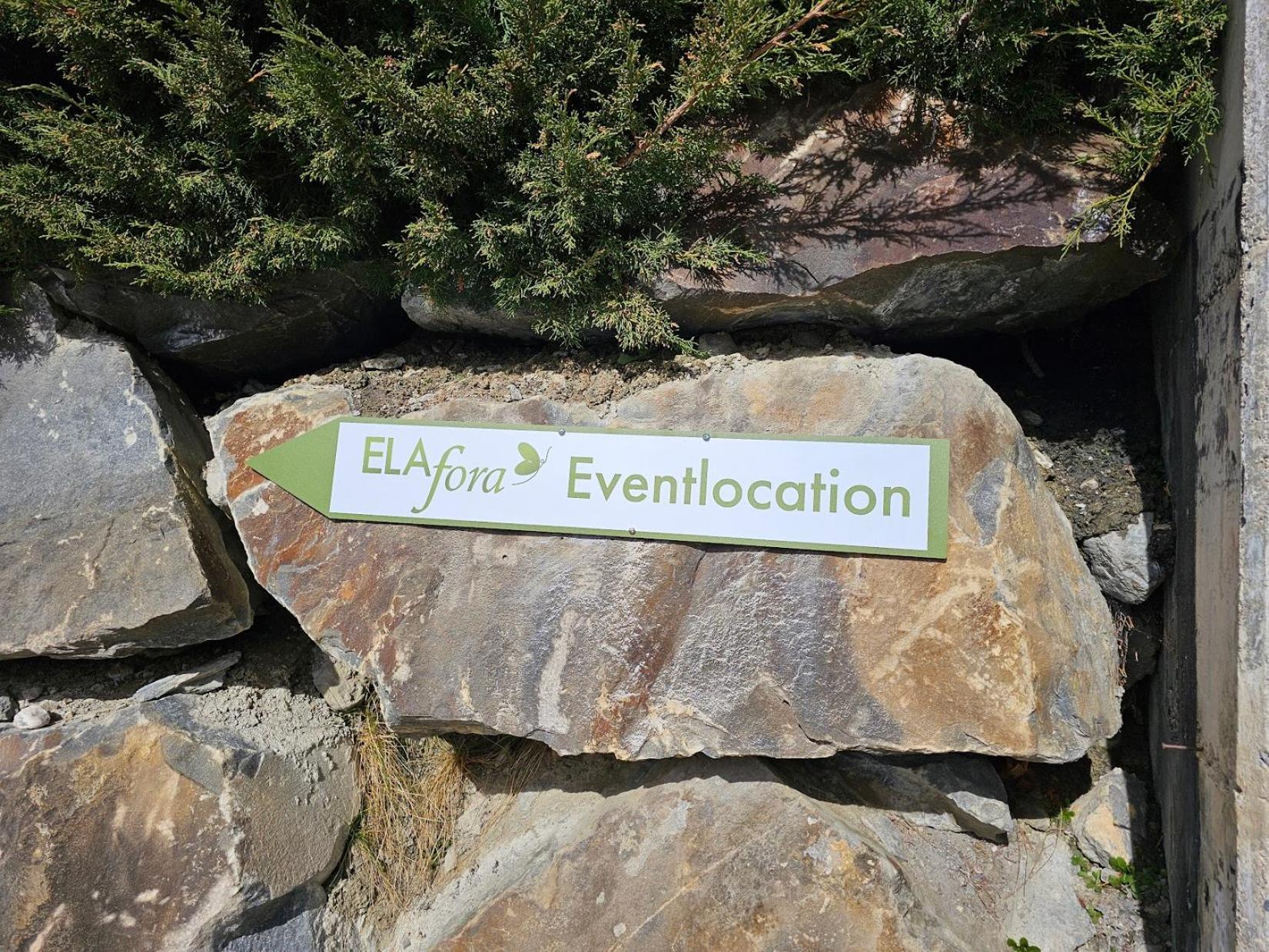 Apartment Elafora